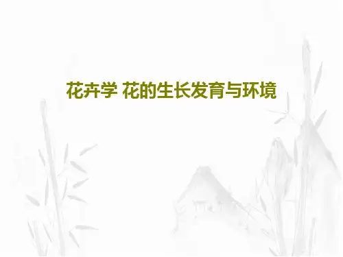 花卉学 花的生长发育与环境共100页文档