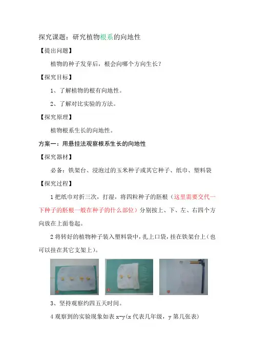 鄂教版小学科学实验操作
