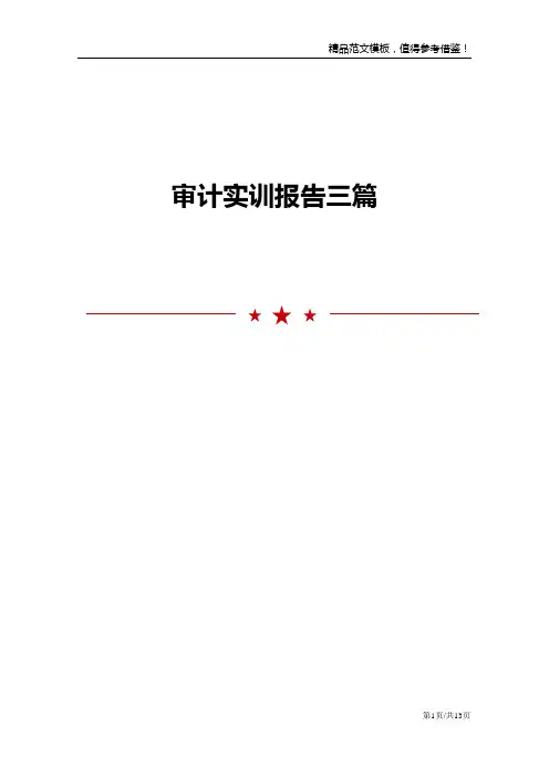审计实训报告三篇