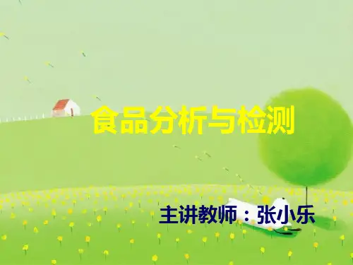 食品的分析与检测PPT