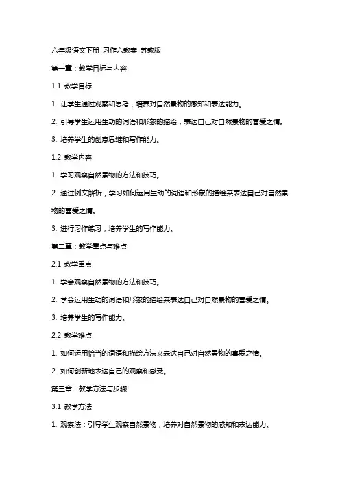 六年级语文下册 习作六教案 苏教版