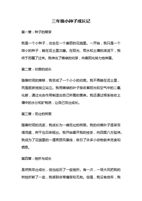 三年级小种子成长记