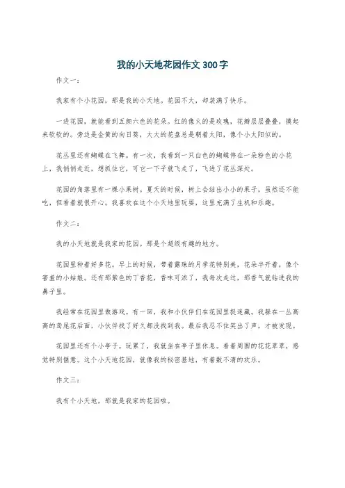 我的小天地花园作文300字