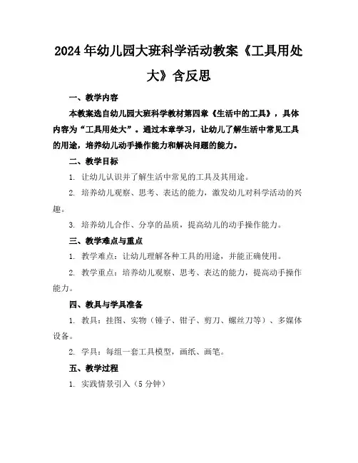 2024年幼儿园大班科学活动教案《工具用处大》含反思
