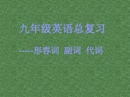 九年级英语总复习