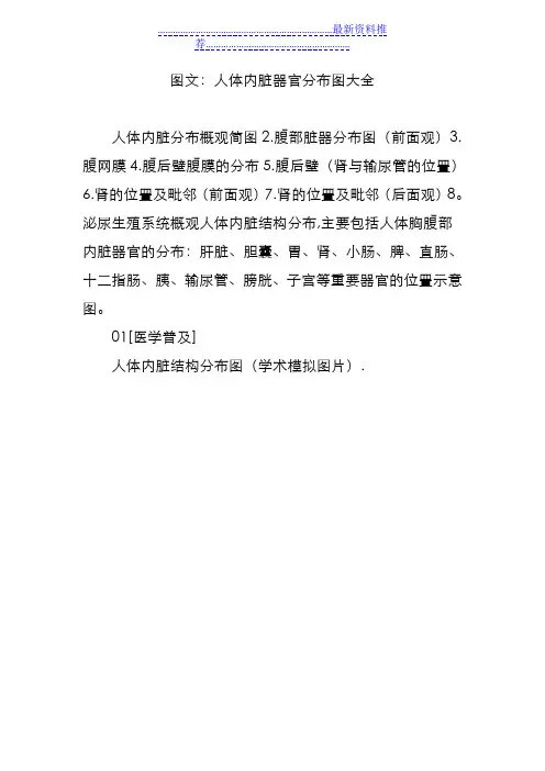 图文：人体内脏器官分布图大全