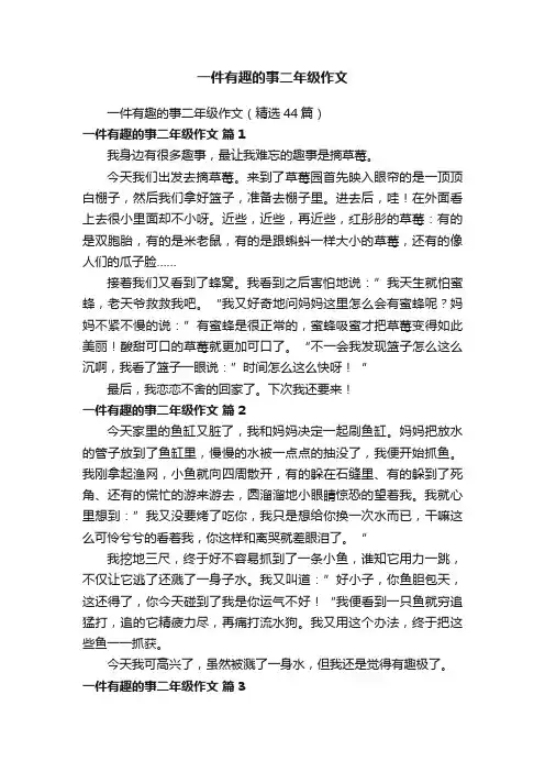 一件有趣的事二年级作文（精选44篇）