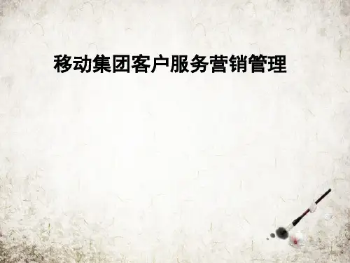 移动集团客户服务营销管理