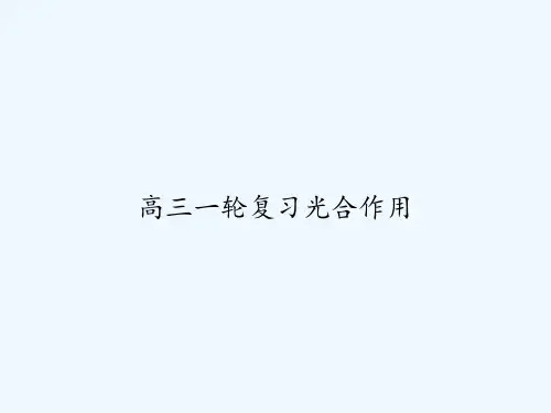 高三一轮复习光合作用-PPT