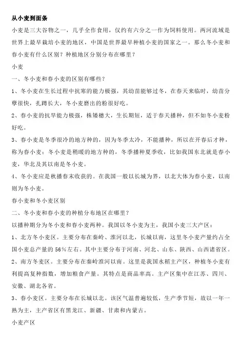从小麦到面条(中国面条地理大全)
