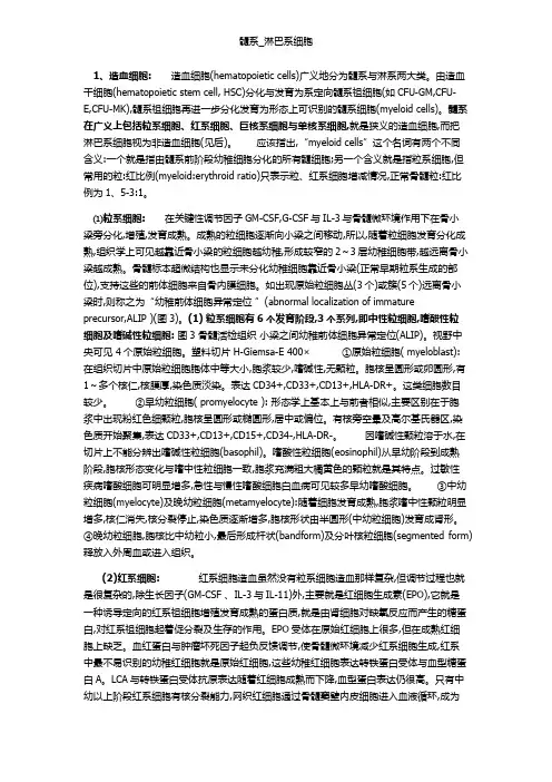 髓系_淋巴系细胞