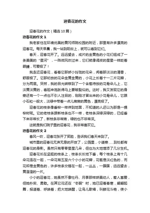 迎春花的作文（精选10篇）