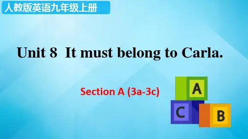 人教版英语九年级上册 Unit 8 Section A (3a-3c)