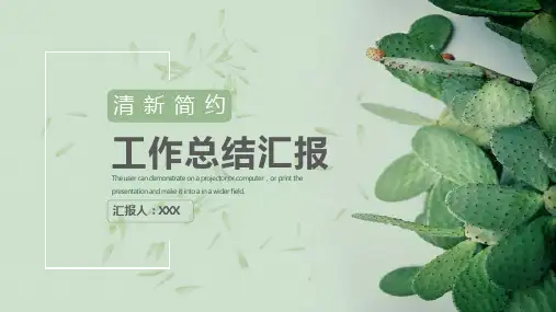 工作总结汇报清新简约风PPT模板
