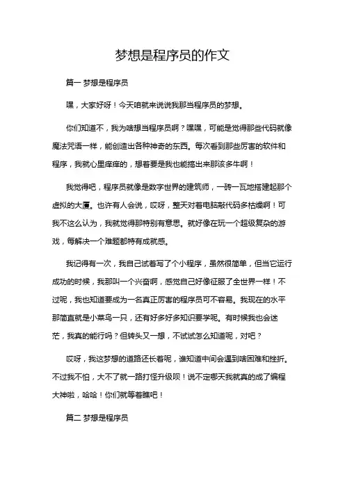 梦想是程序员的作文