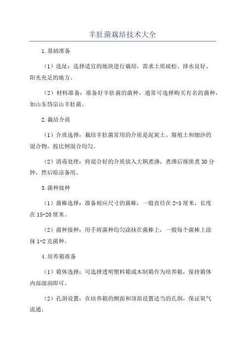 羊肚菌栽培技术大全