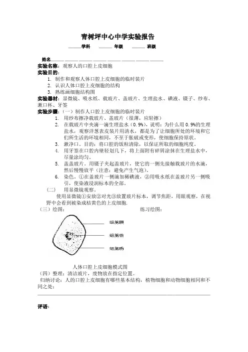 观察人的口腔上皮细胞