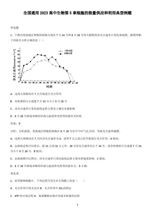 全国通用2023高中生物第5章细胞的能量供应和利用典型例题