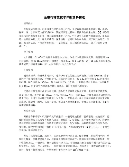 金银花种植技术详细资料精选