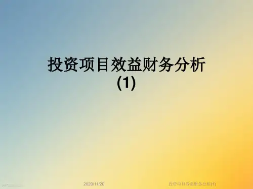 投资项目效益财务分析(1)