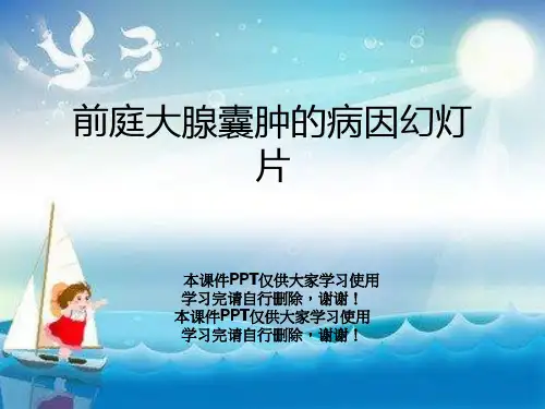 前庭大腺囊肿的病因幻灯片