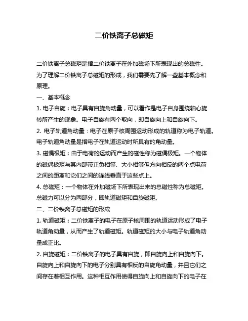 二价铁离子总磁矩