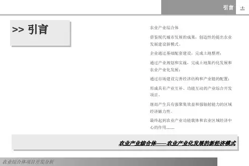 卓尔桃花驿小镇开发运营建议课件