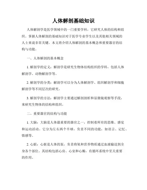 人体解剖基础知识