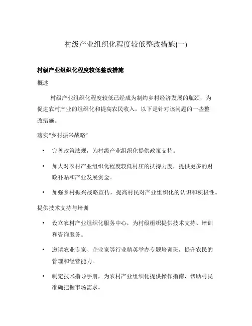 村级产业组织化程度较低整改措施(一)