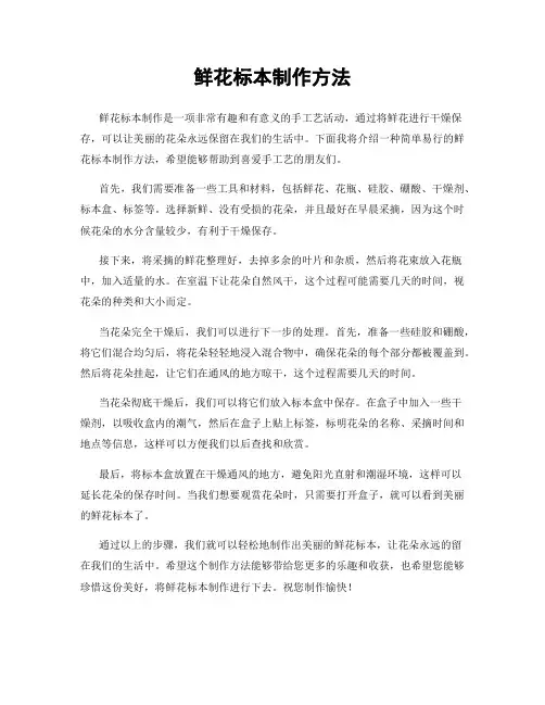 鲜花标本制作方法