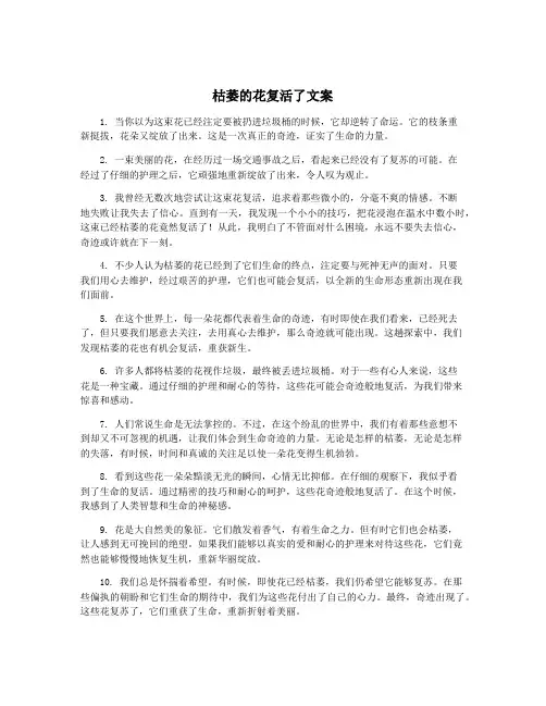 枯萎的花复活了文案