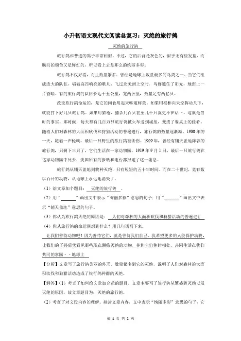 小升初语文现代文阅读总复习：灭绝的旅行鸽