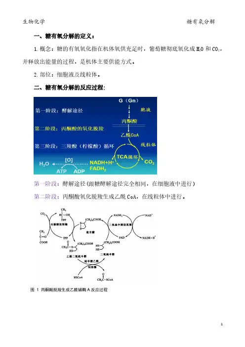 糖的有氧氧化