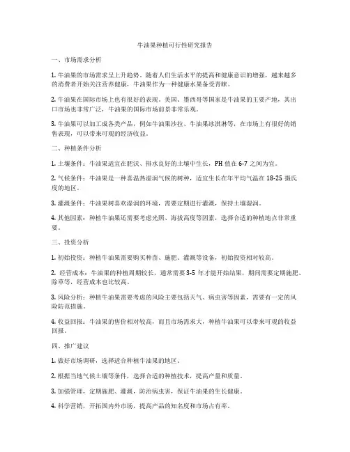 牛油果种植可行性研究报告