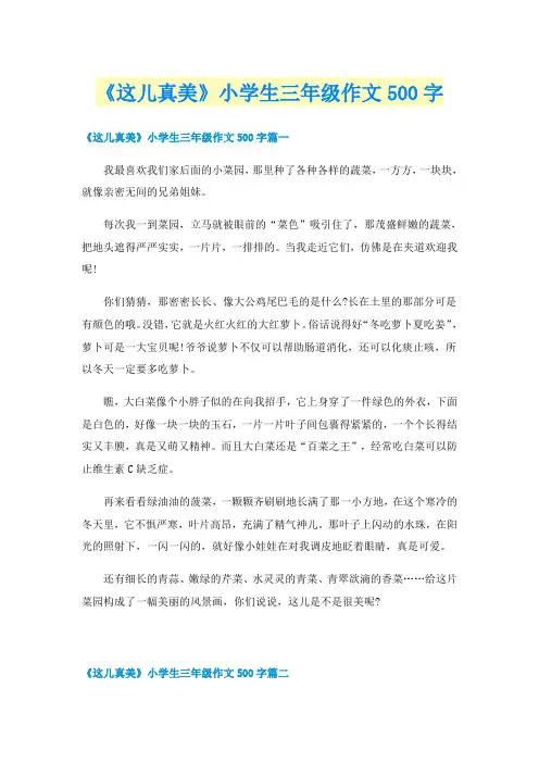 《这儿真美》小学生三年级作文500字