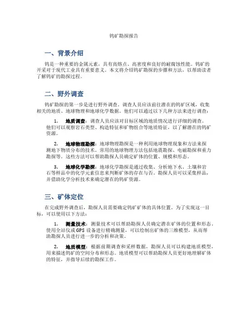 钨矿勘探报告