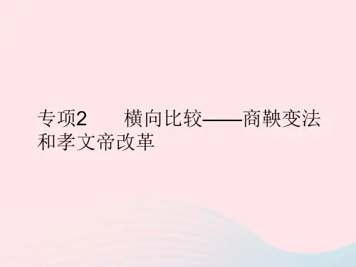 2023七年级历史上册第四单元三国两晋南北朝时期：政权分立与民族交融专项2横向比较__商鞅变法和孝文