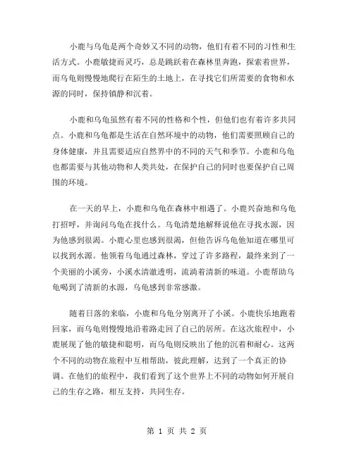 小鹿与乌龟作文范文