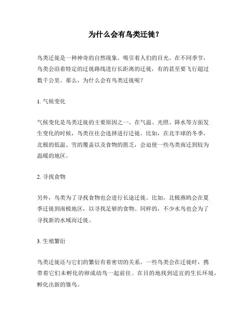 为什么会有鸟类迁徙？