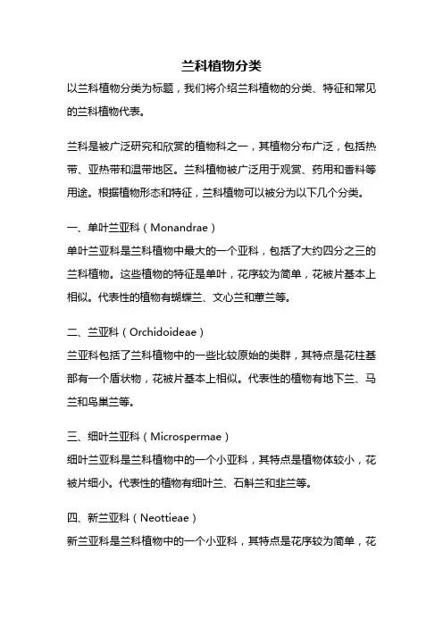 兰科植物分类