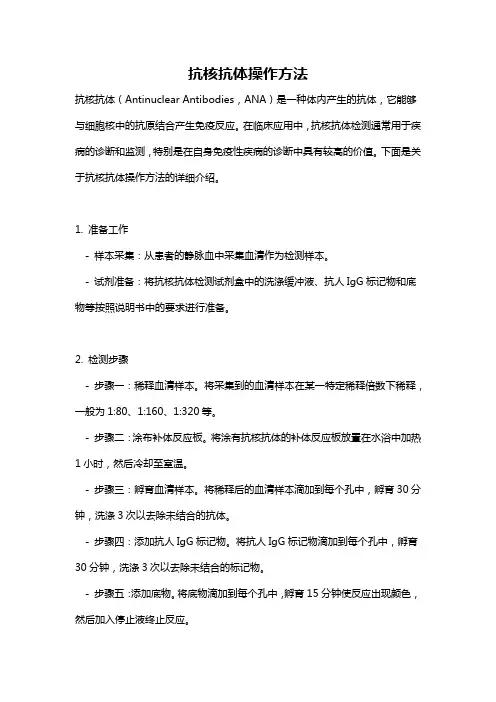 抗核抗体操作方法