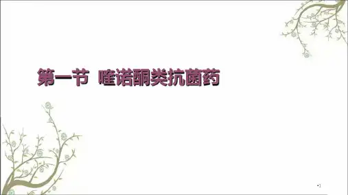 喹诺酮类药物课件