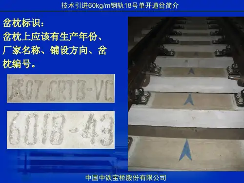 60kgm钢轨18号可动心轨辙叉单开道岔2