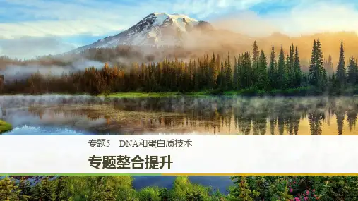 2019_2020学年高二人教版生物选修一课件：专题整合提升：专题5 DNA和蛋白质技术 