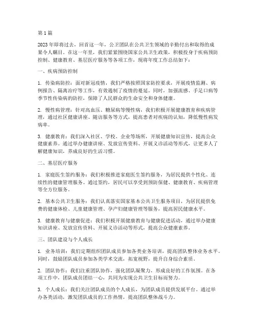 公卫团队年度总结(3篇)