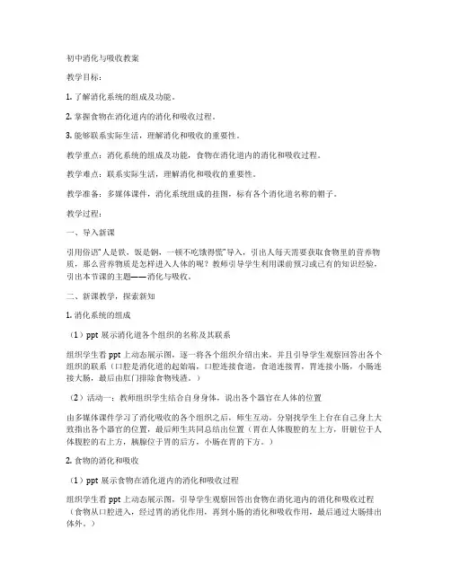 初中消化与吸收教案