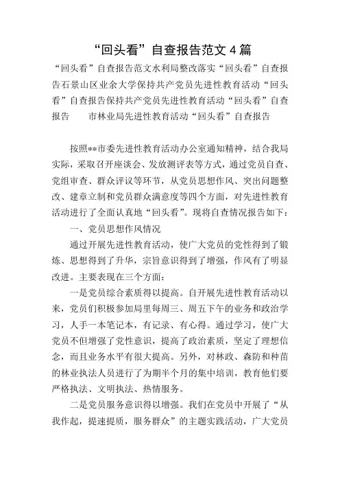 “回头看”自查报告范文4篇