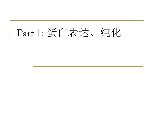 蛋白表达和纯化课件