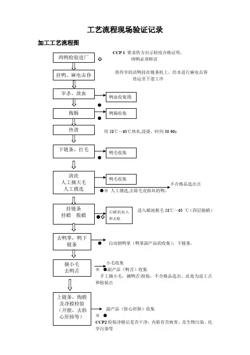 工艺流程图验证