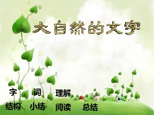 大自然的文字PPT教学课件